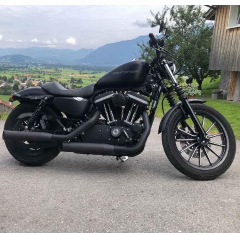 Motorrad verkaufen Harley-Davidson Xl-883 n sportster Ankauf